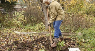 Jak a jak krmit květák venku